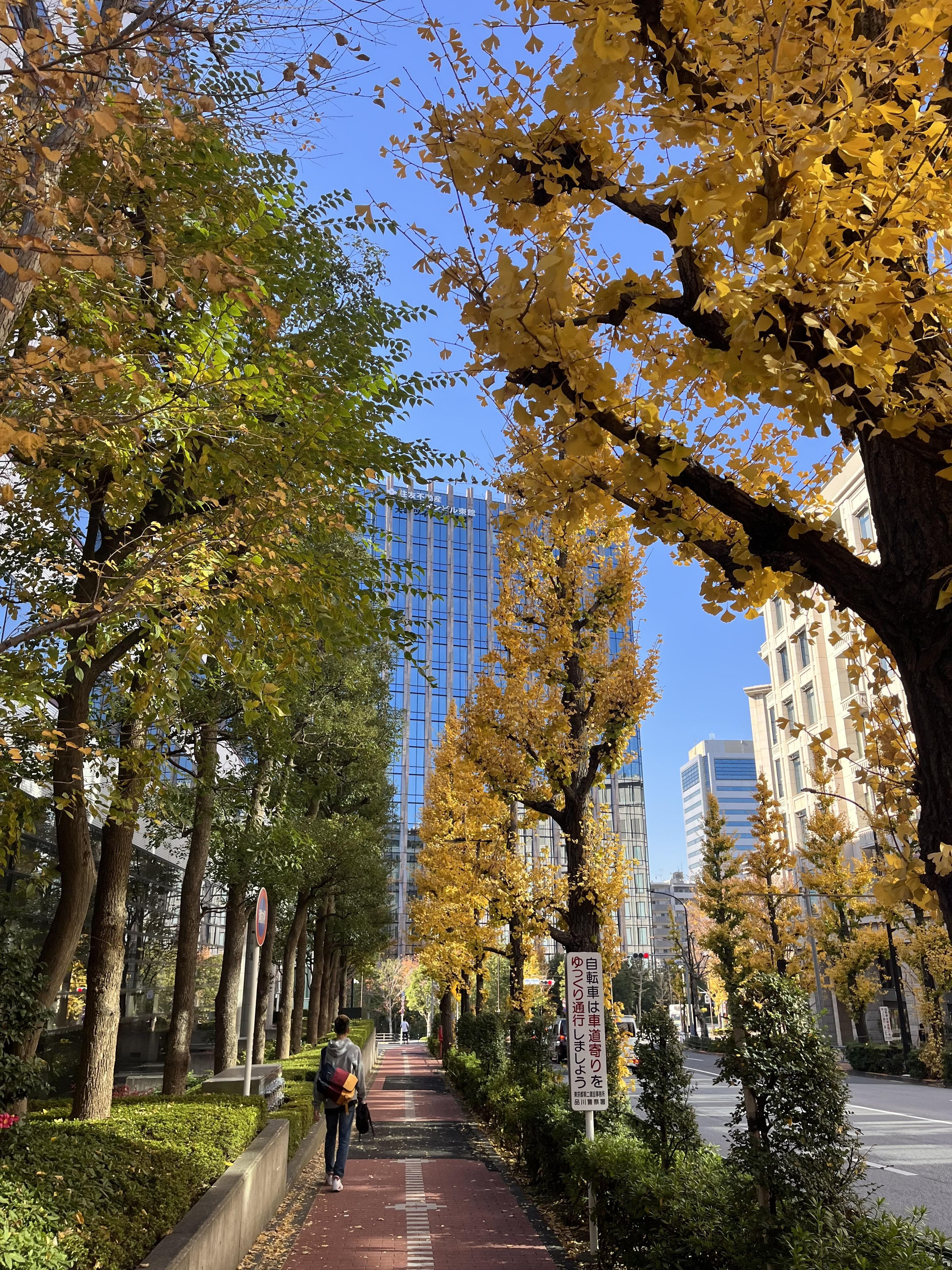 日本房地產鬼故事,真實血淚請大家不要上當。